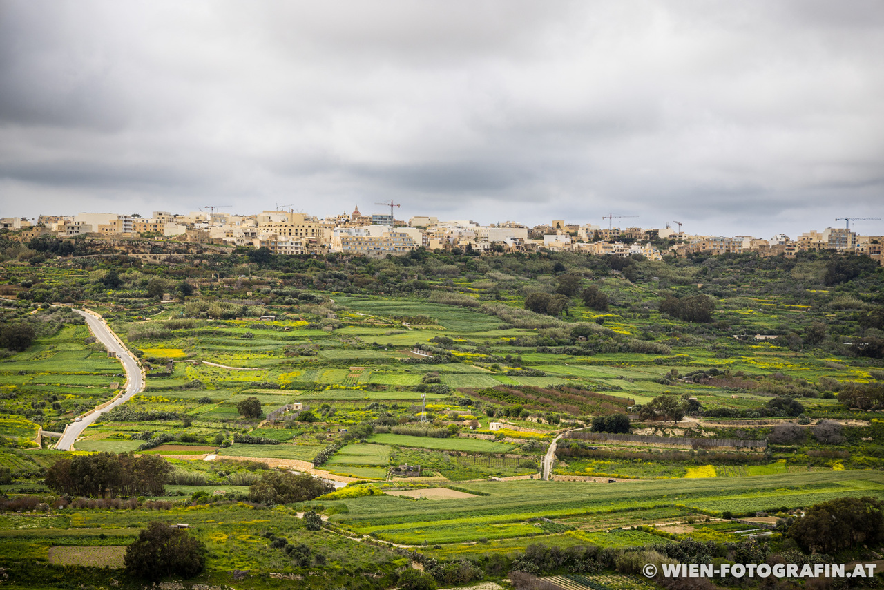 Gozo erleben – gigantische &shy;Tempel und &shy;eine Zitadelle &shy;(Malta Teil 2)